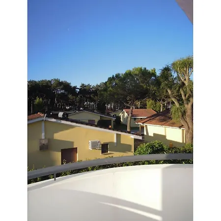 Modern Three Flat With Pool *